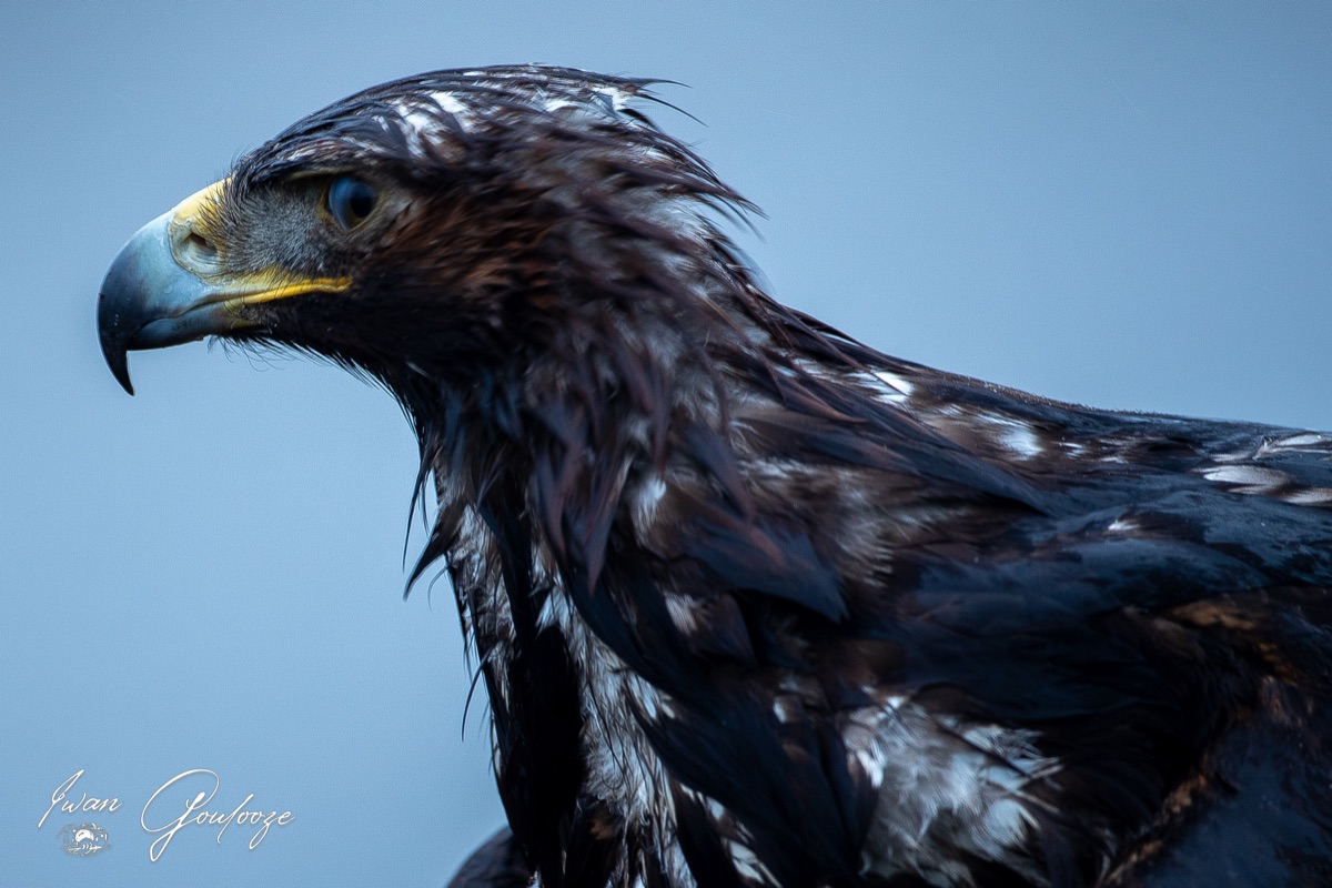 1DX45840 12 december 2021 1139 13